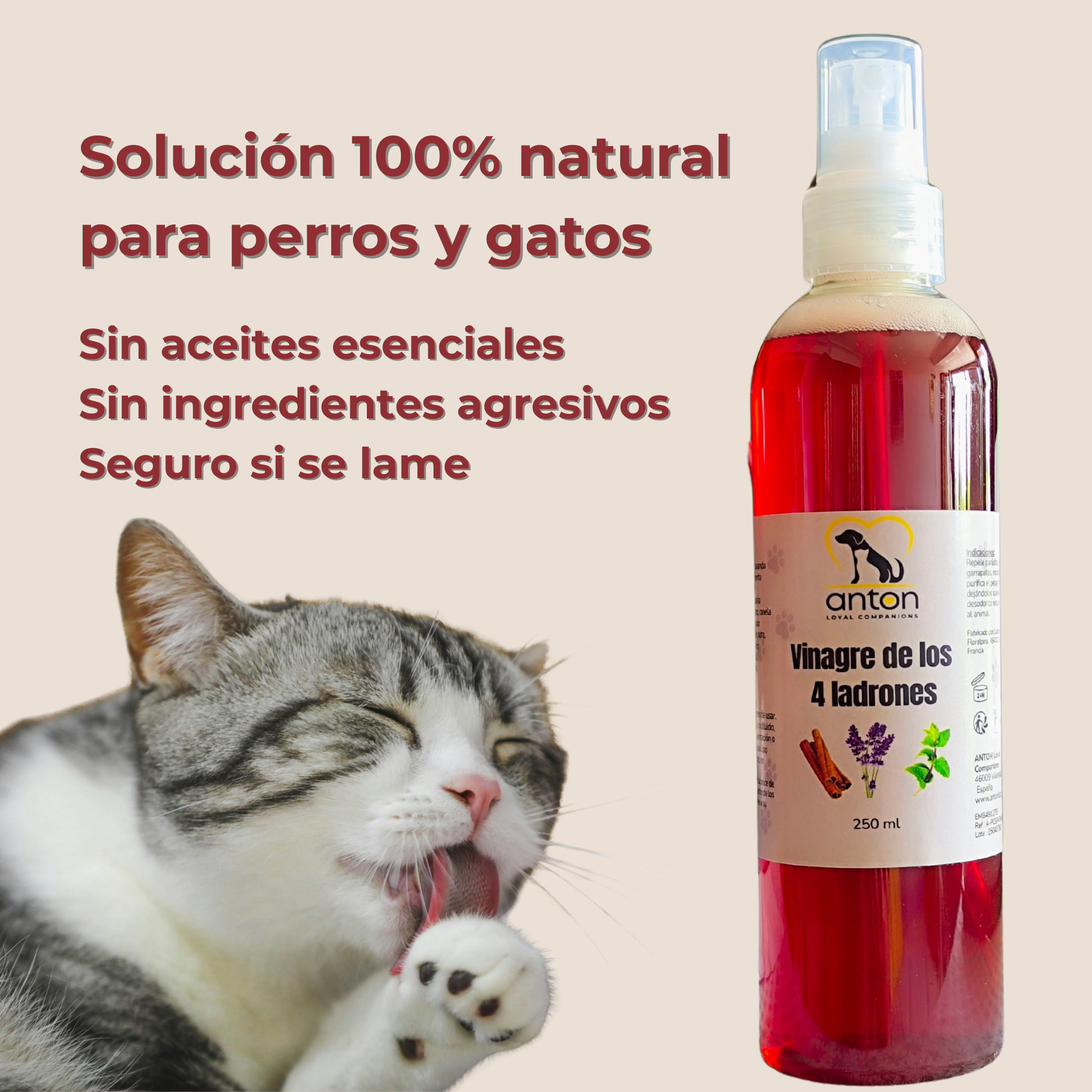 Vinagre de los 4 Ladrones para Perros y Gatos – 250ml