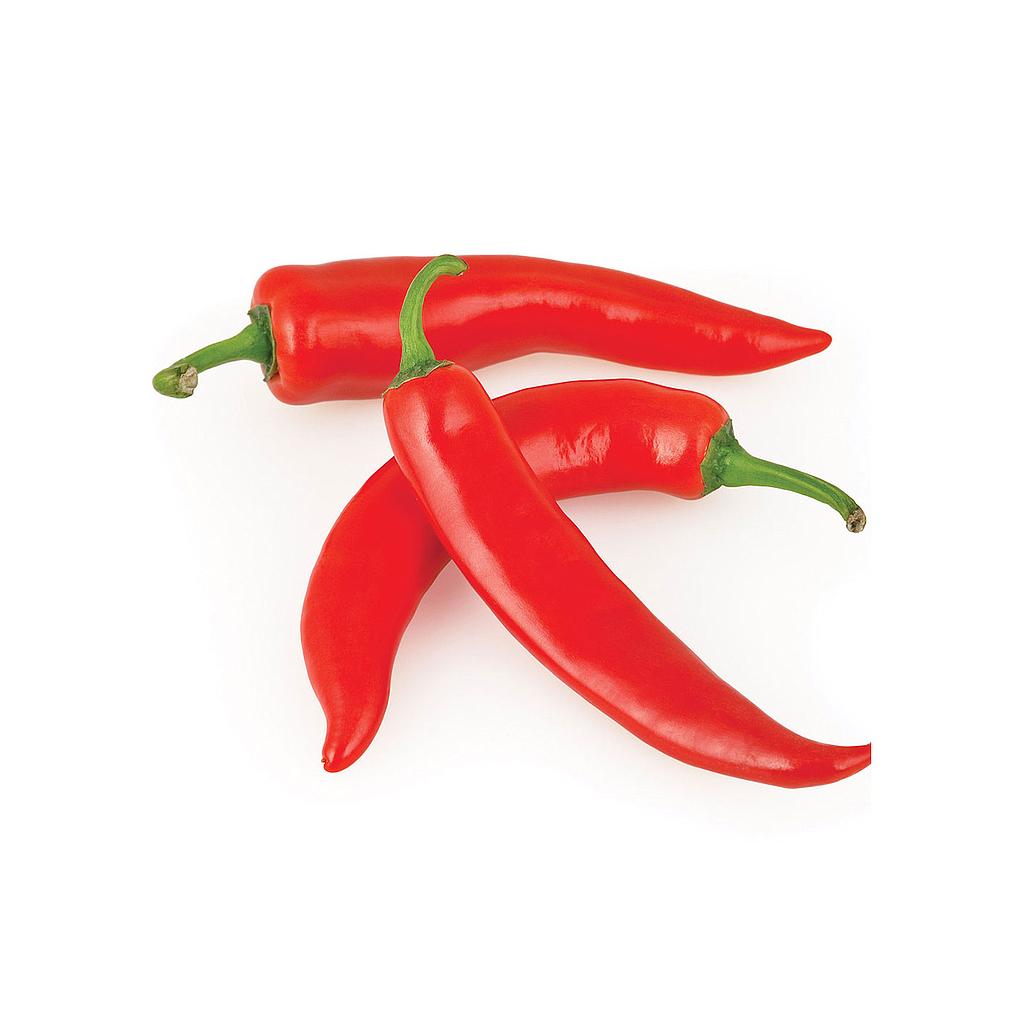 Pimiento Picante Chile M11 (capsicum Annuum)_0