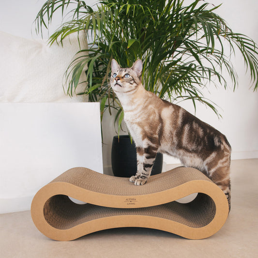 Rascador Para Gatos Con Forma De Infinito