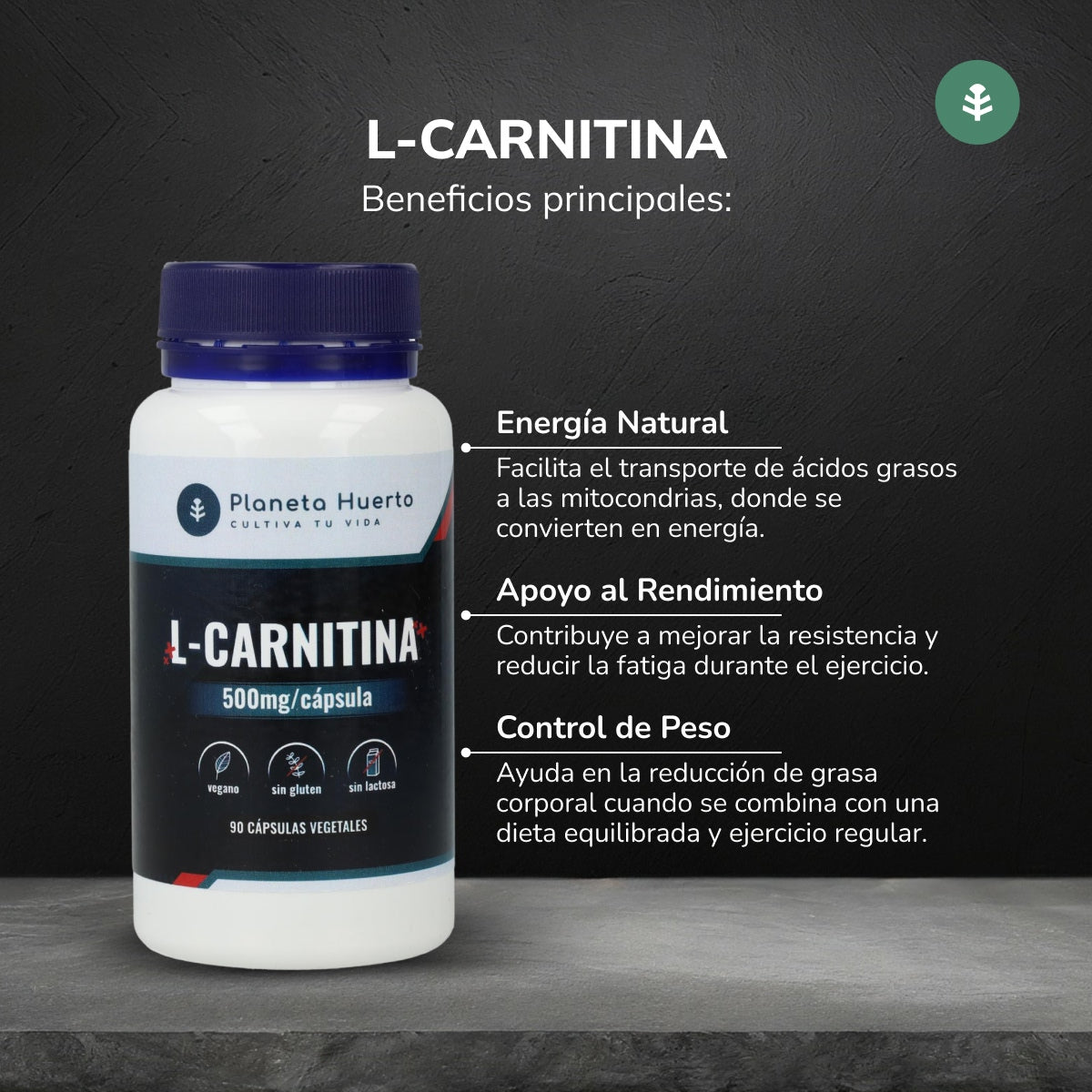 L-Carnitina 500 mg Planeta Huerto 90 Caps.