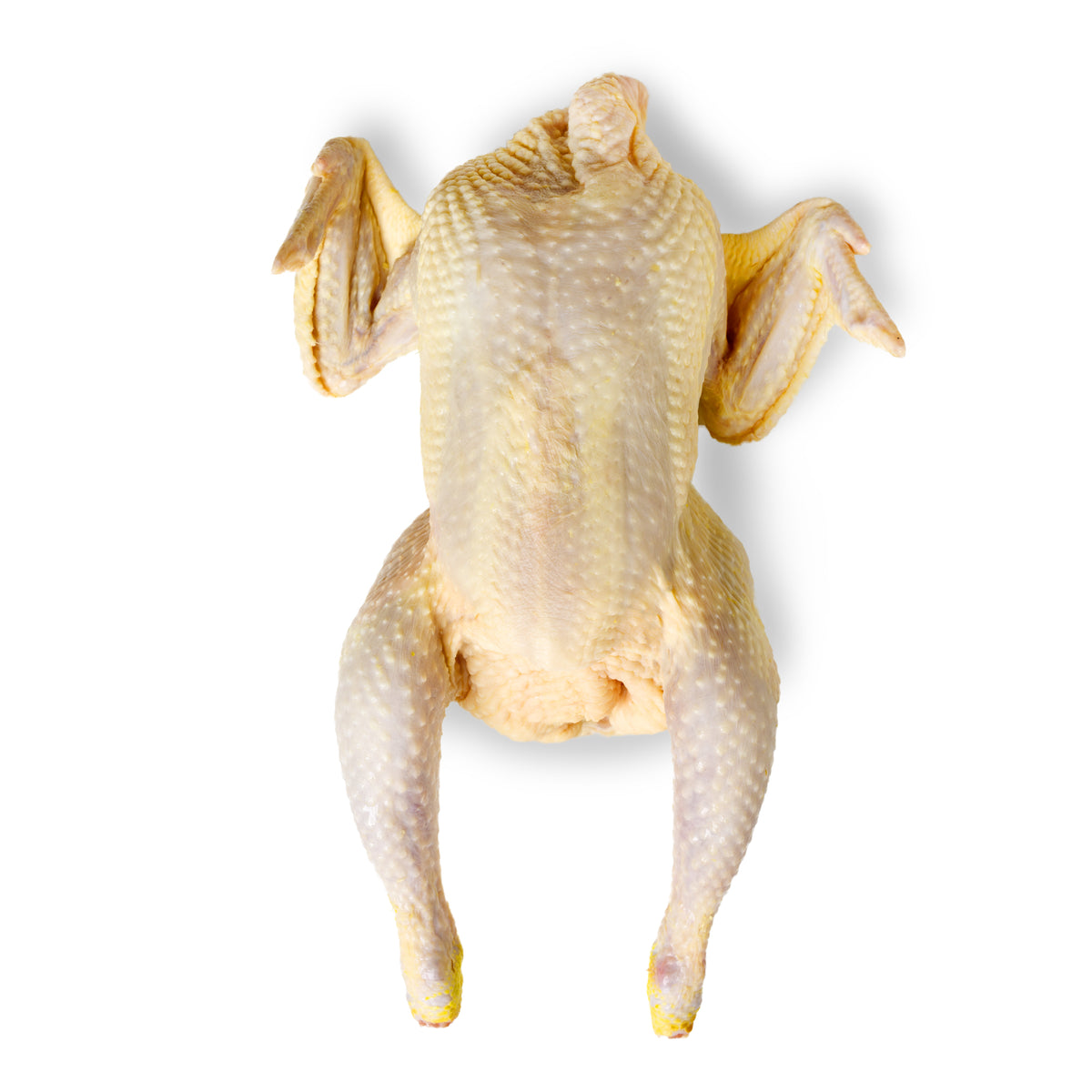 Pollo ecológico entero 1,7 kg – 2 kg_2