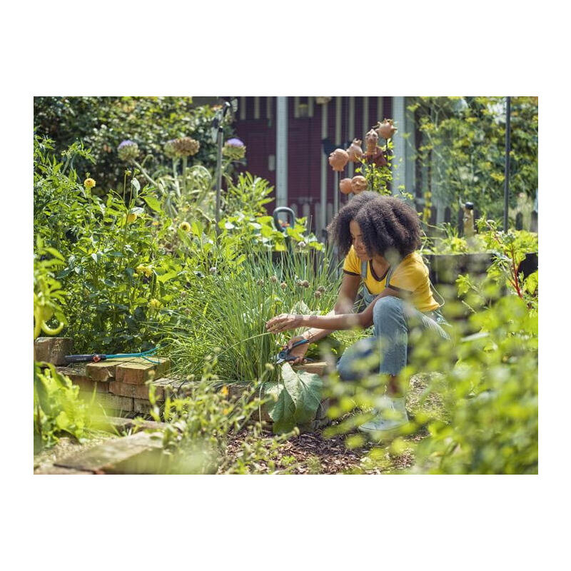 Gardena Tijeras De Podar Expertcut 12203-20_3