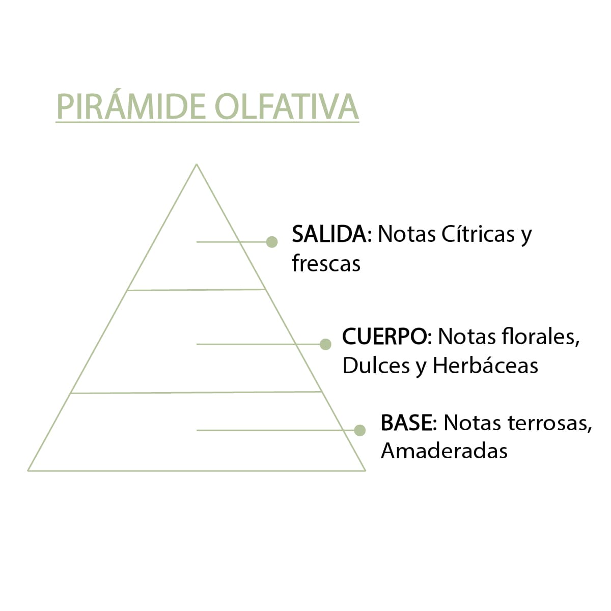 Esencia Natural Aloe Vera SYS Aromas 12 ml | Aroma Fresco y Herbal | Para Quemadores y Humidificadores_5
