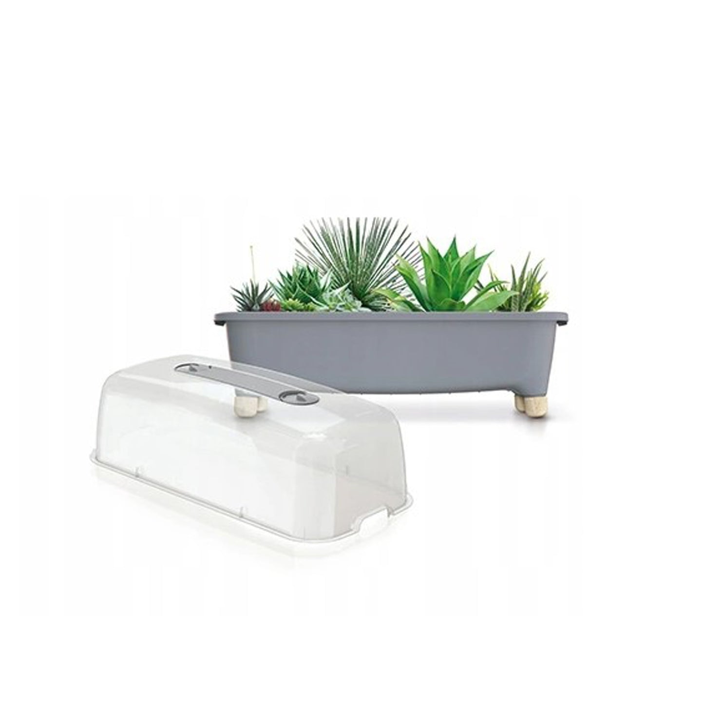 Huerto Domestico/jardinera Baja, Con Tapa De Policarbonato Para Proteger Tus Plantas L Prosperplast Respana Planter Wood Low Set De Plástico_4