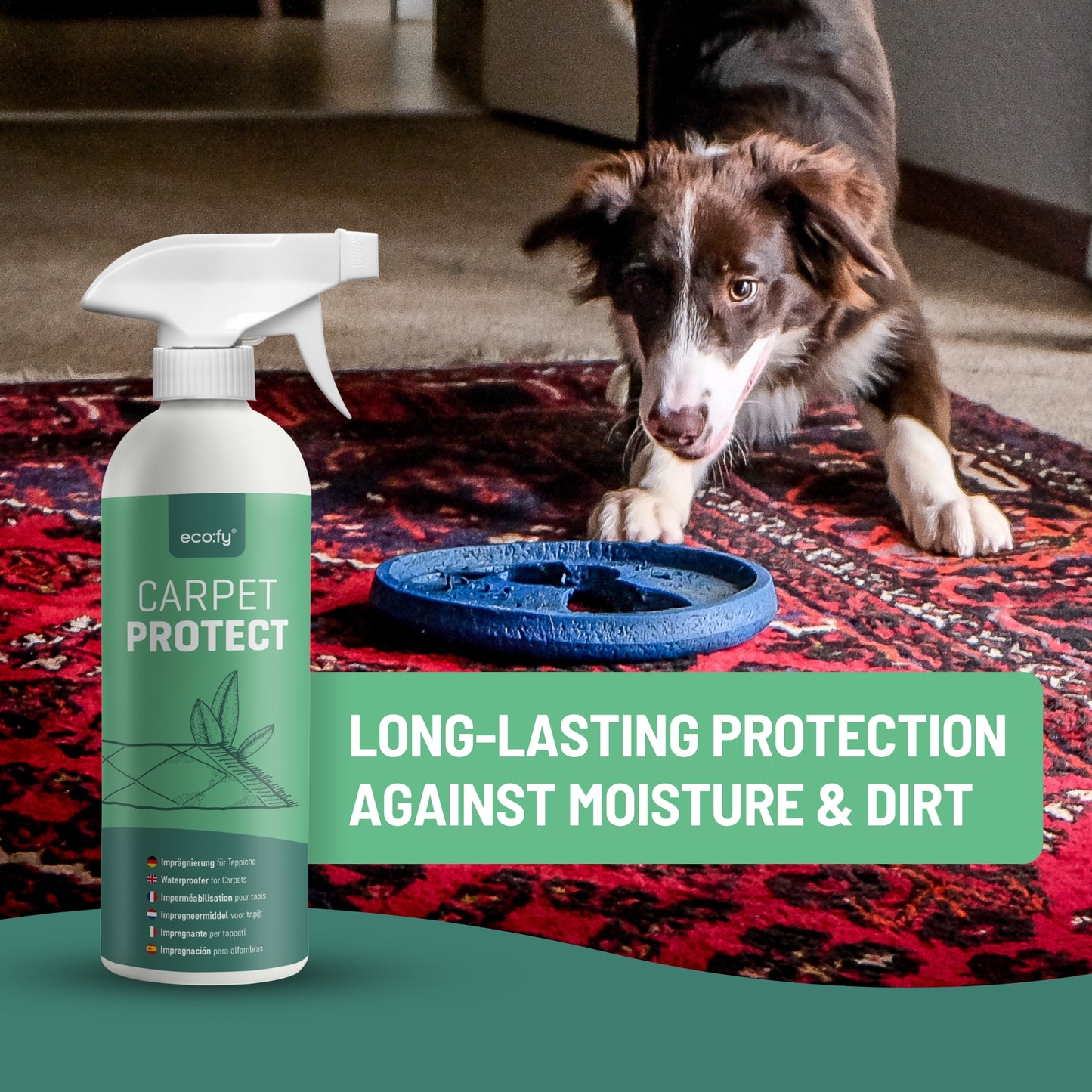 Impregnación Para Alfombras - Eco:fy - 2,5 L_5
