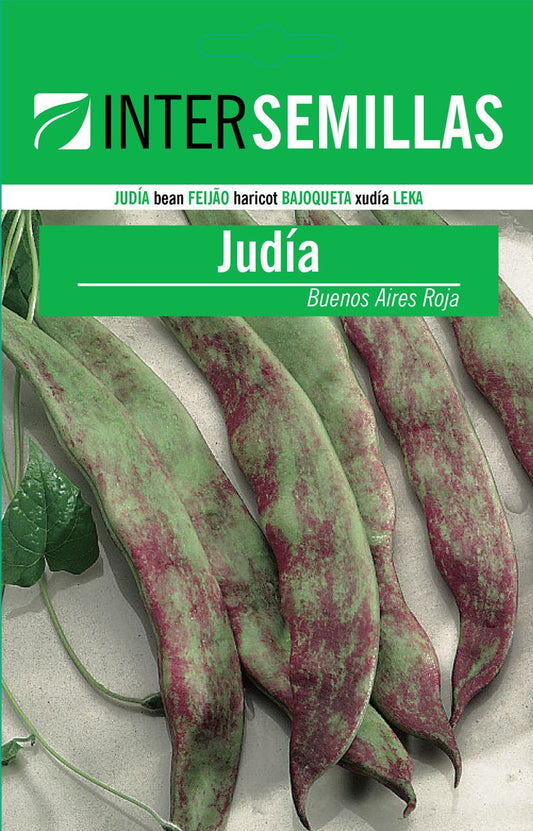 Sobre De Semillas De Judia Buenos Aires Roja