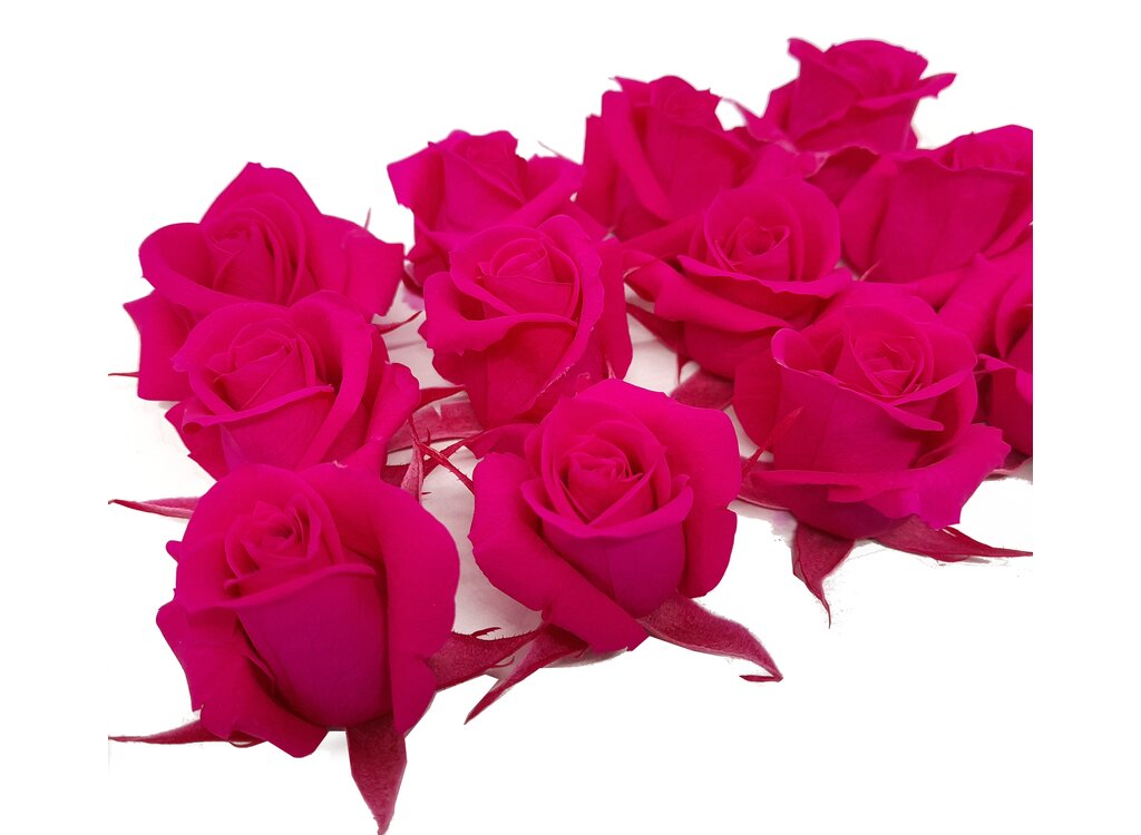 Mundo Eterno Rosas Fucsia Preservadas 12 Unidades 3-4cm