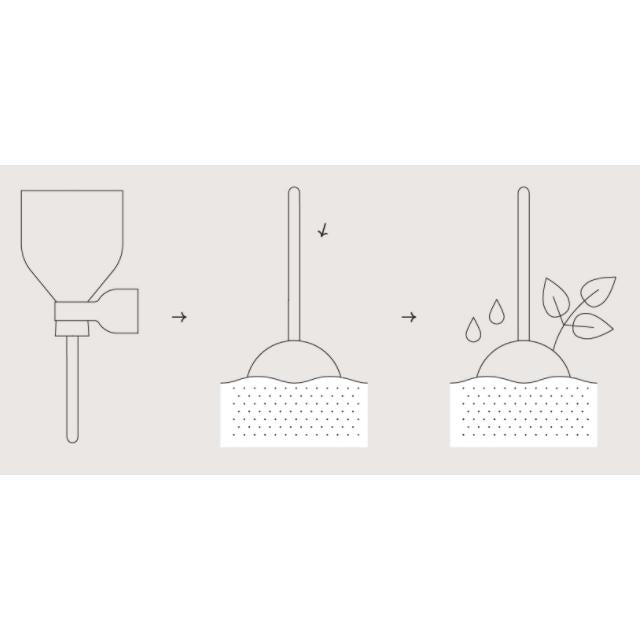 Cocktail Garden Lollipop semillas