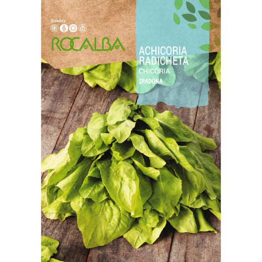 Semillas de Achicoria radicheta spadona