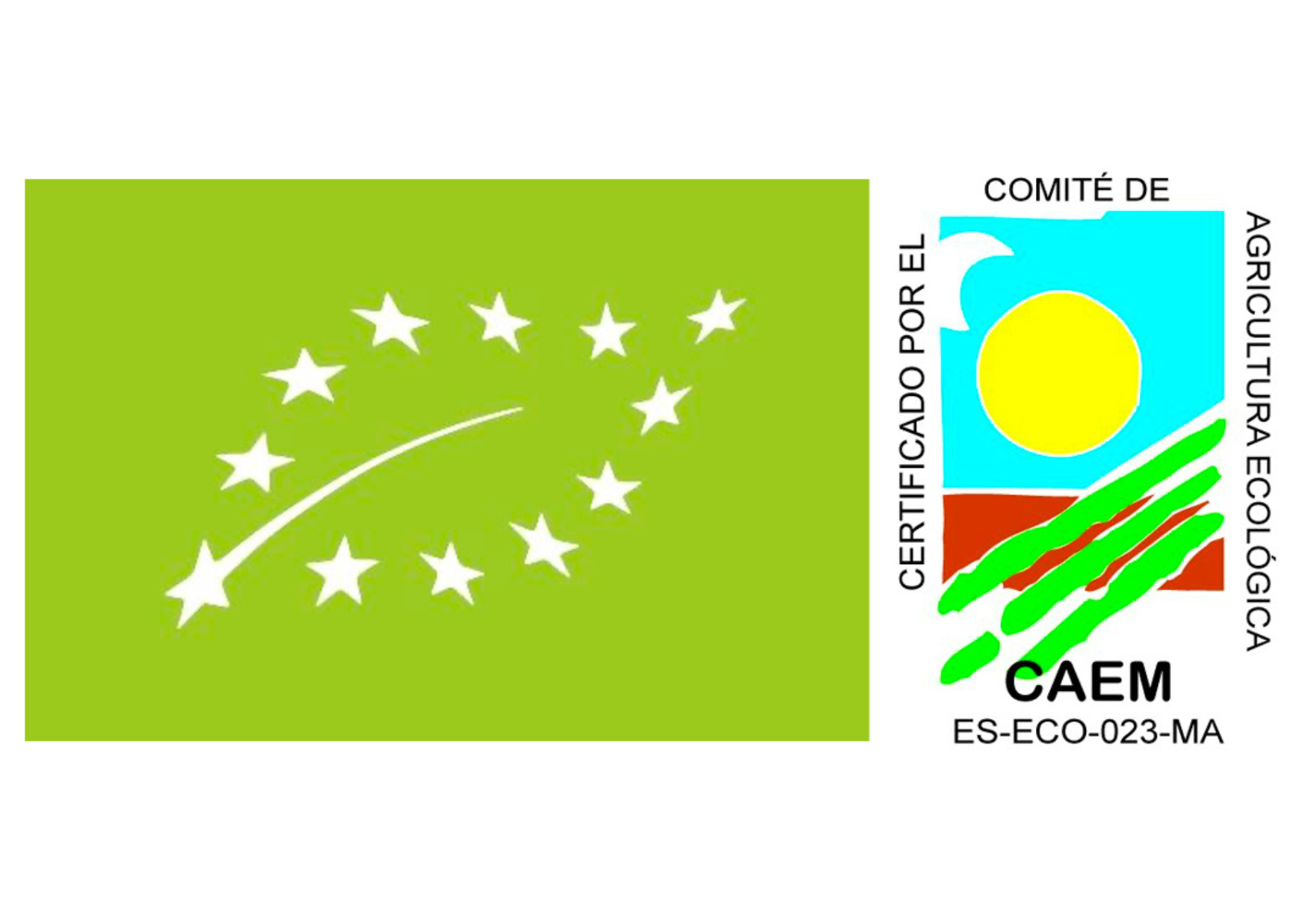 Palmeritas de espelta ecológicas