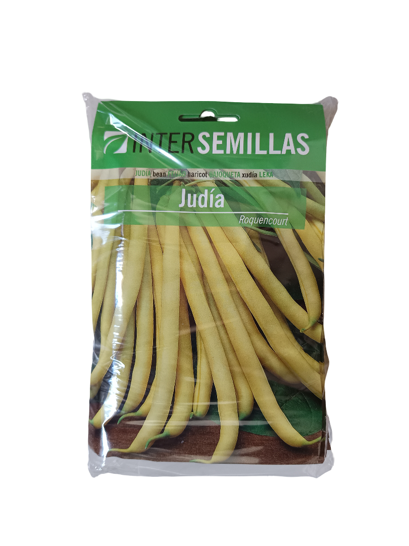 Semillas De Judia Roquencourt