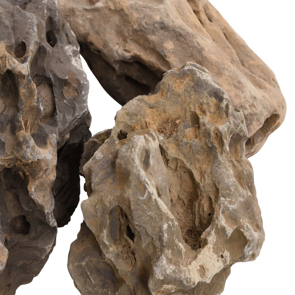 Vidaxl Piedras De Dragón Gris 10 Kg 10-40 Cm_4