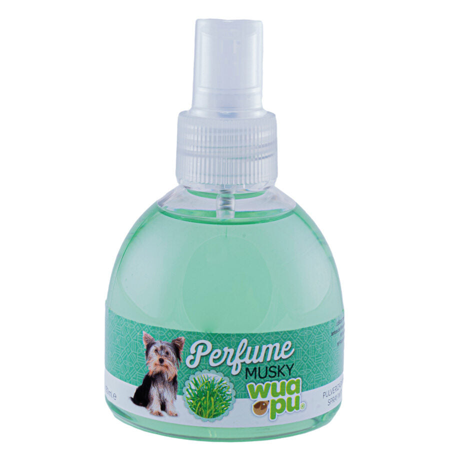 Perfume Para Perros Wuapu, Aroma Agradable Y Fresco Musky En Formato Pulverizador De 150 Ml_0