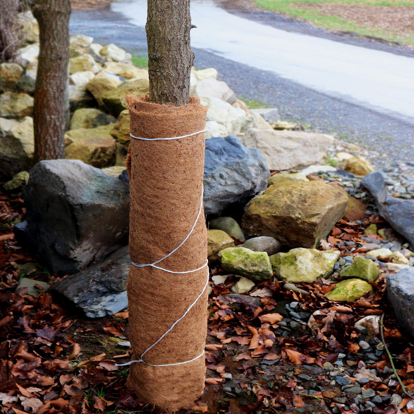 Estera De Coco De 16 M Estera De Protección Para El Invierno Estera De Fibra De Coco 800 G/m² 0,25 M De Ancho_5