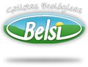 Belsi