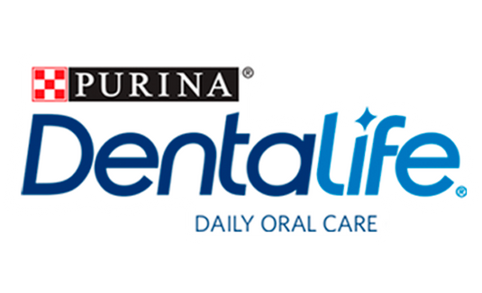 Dentalife