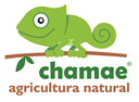 CHAMAE