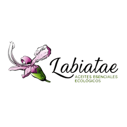 Labiatae