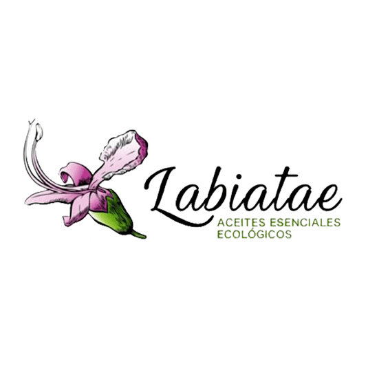 Labiatae