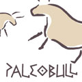 Paleobull