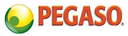 Pegaso