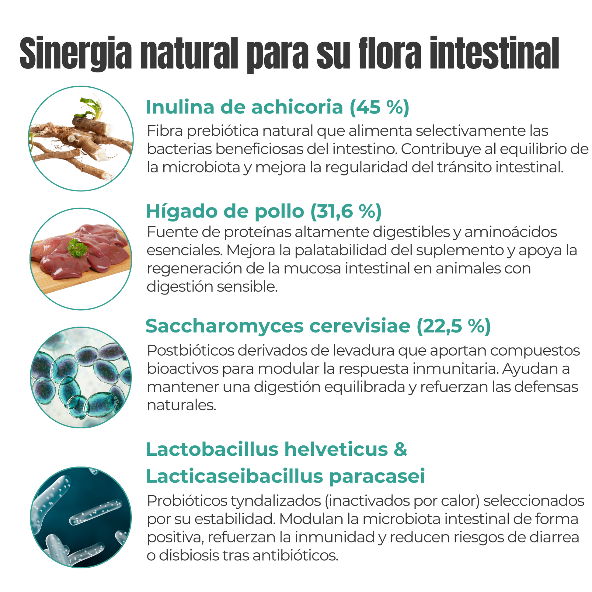 Suplemento natural para la digestión y microbiota de perros y gatos – Equilibrio de la Flora Intestinal 100 g_2