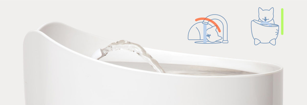 Fuente Bebedero para Gatos de Acero Inoxidable Blanca Catit PIXI 2,5 L