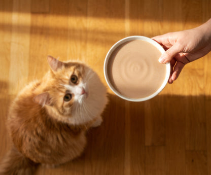Sopa Cremosa para Gatos Creamy Bisque Pollo y Pato Catit 4 x 40 g
