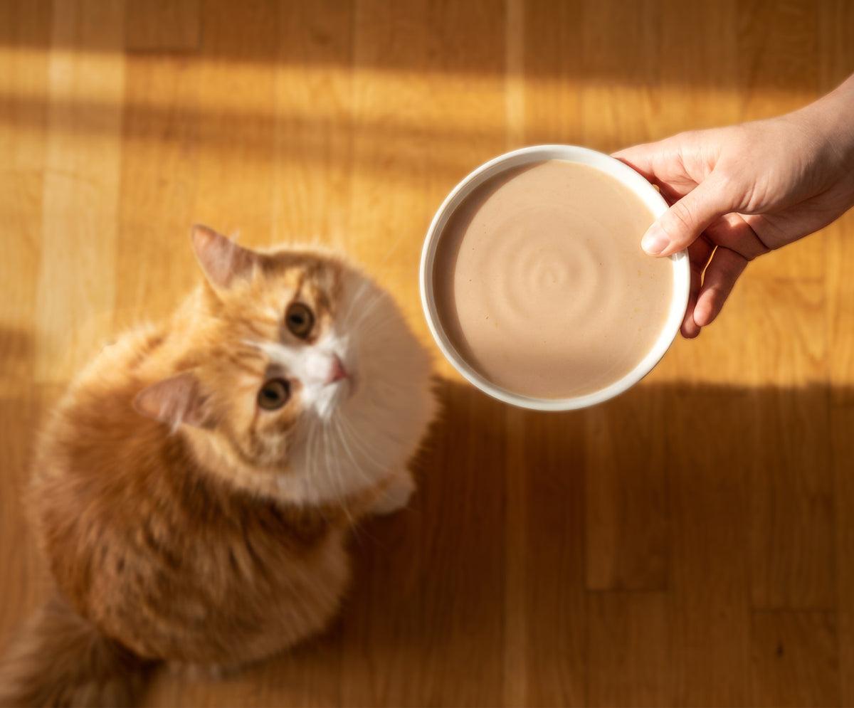 Sopa Cremosa para Gatos Creamy Bisque Atún y Cangrejo Catit 4 x 40 g