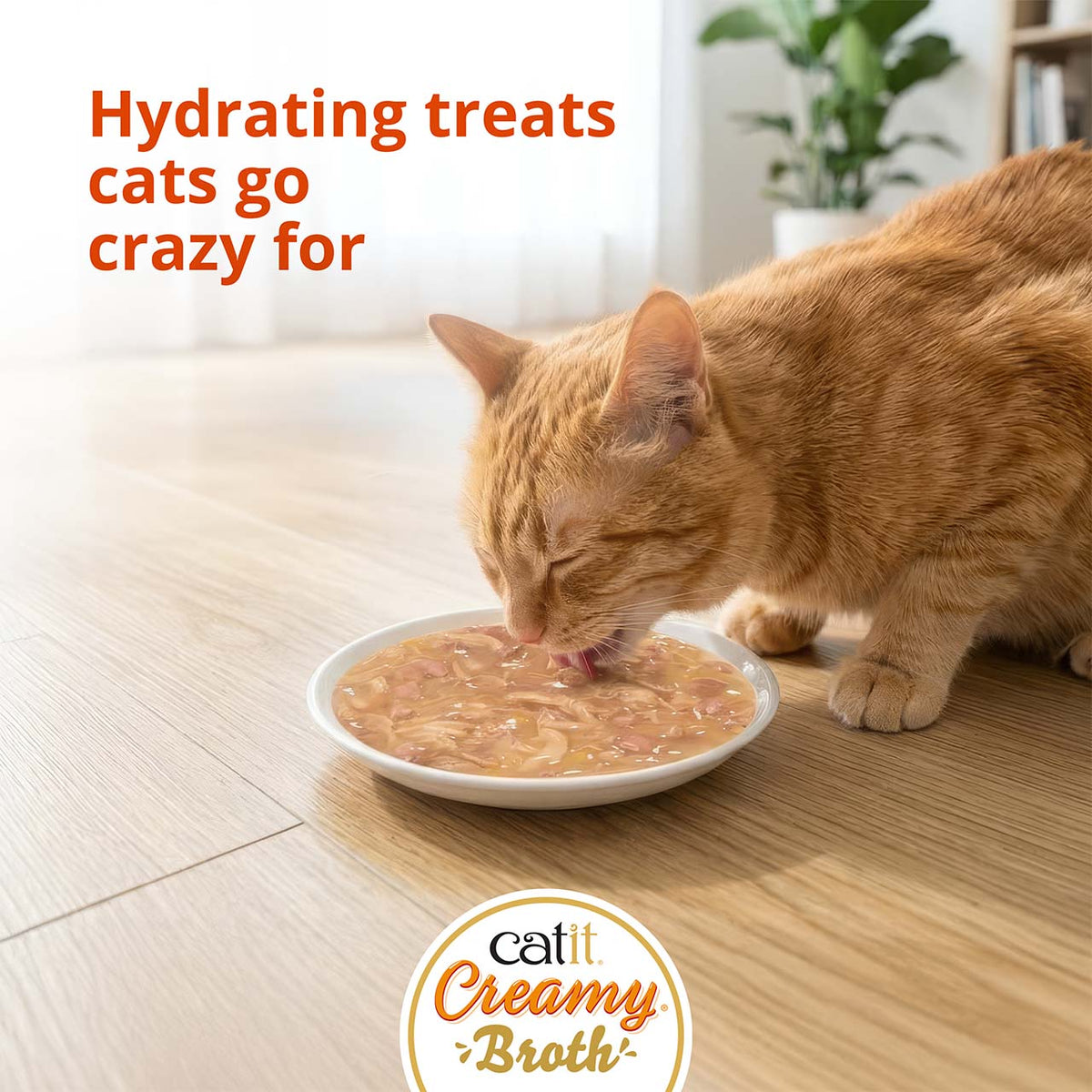 Caldo Cremoso para Gatos Creamy Broth Atún y Cangrejo Catit 4 x 40 g