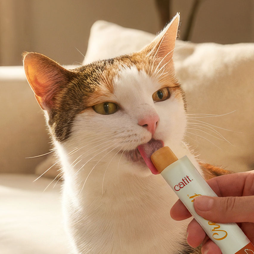 Snack Líquido para Gatitos Creamy Booster Pollo Catit 4 x 10 g