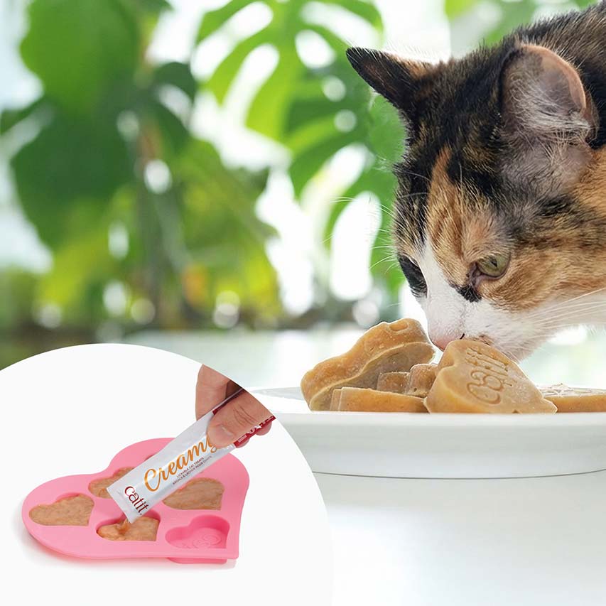 Snack Líquido para Gatitos Creamy Booster Pollo Catit 4 x 10 g