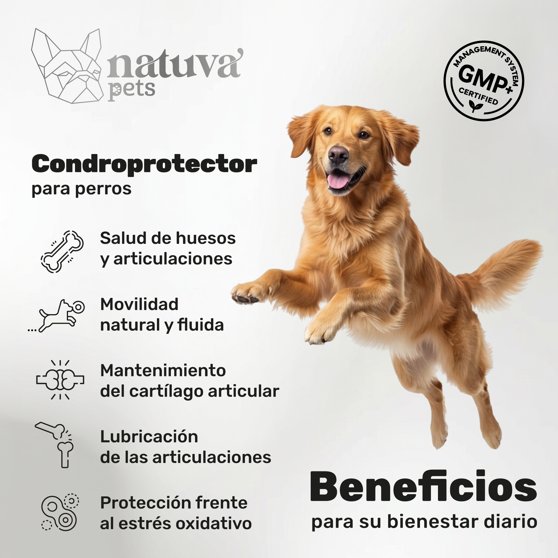 Pack 2x Condroprotector Para Perros. Movilidad Y Articulaciones. Suplementos Mascotas. 240 Masticables. Natuva Pets_1