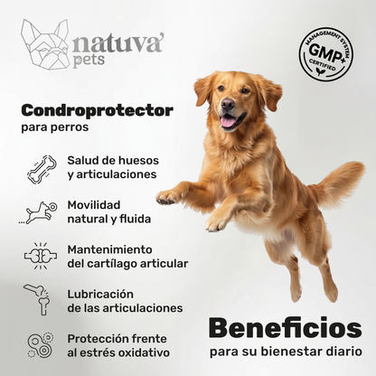 Pack 2x Condroprotector Para Perros. Movilidad Y Articulaciones. Suplementos Mascotas. 240 Masticables. Natuva Pets_1