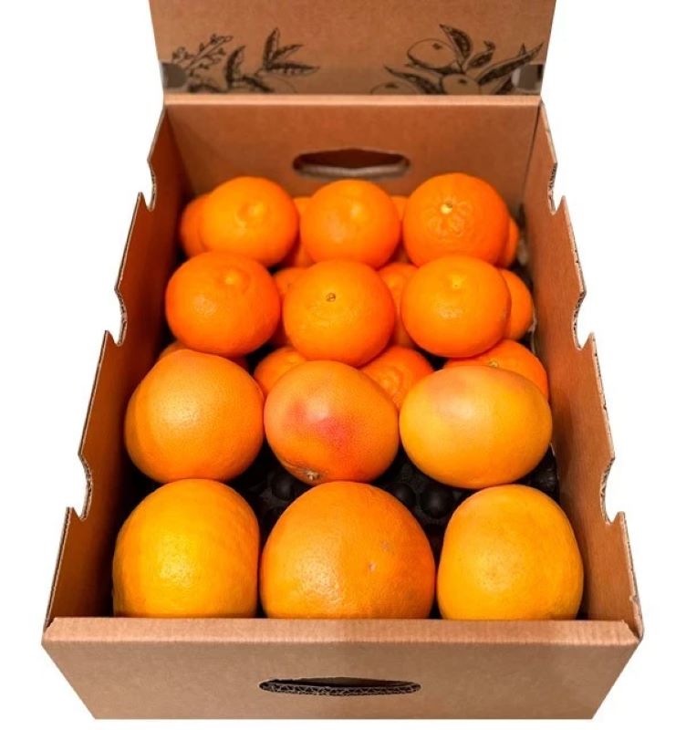 Mix Mandarinas Clementinas Y Pomelos Rojos Valencianos Tropitop 4kg_0