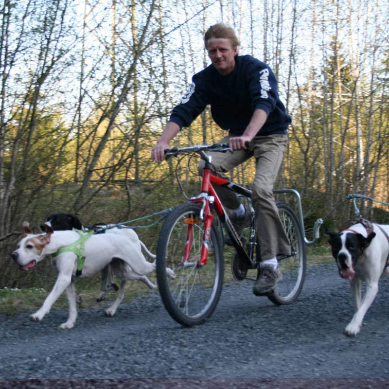Springer Kit De Ejercicio De Bicicleta Para Perros_5
