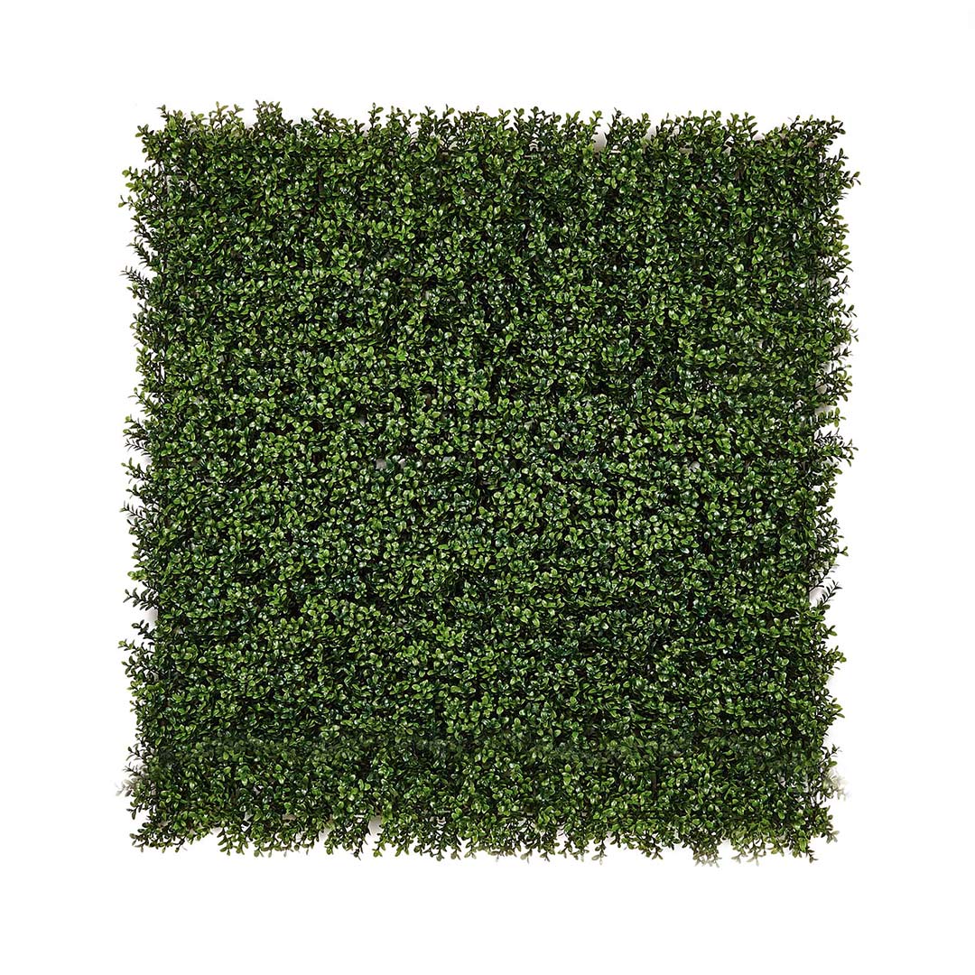 Rollo Jardín Vertical Boj - Decoración Natural Y Versátil 1x1 M / Multicolor_0