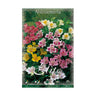 Bulbo Alstroemeria mezcla 3 uds