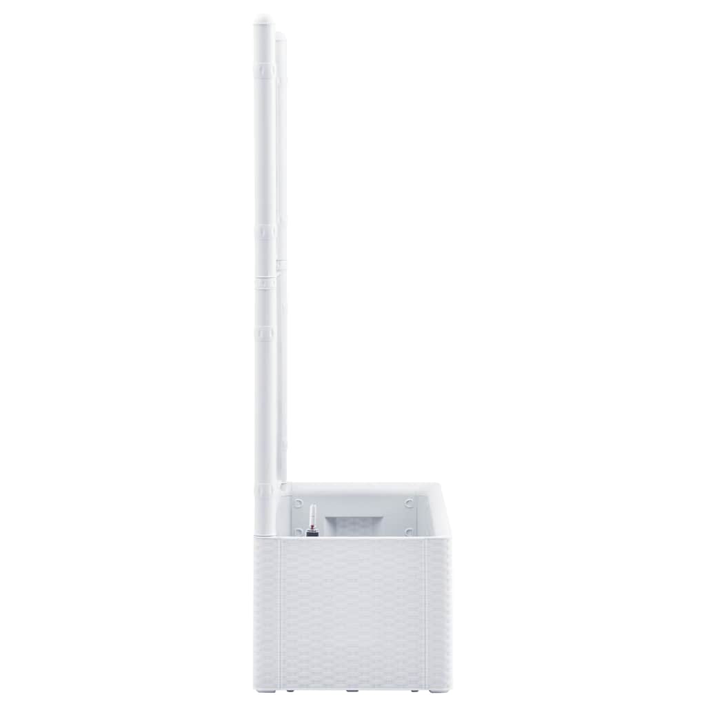 Arriate Con Enrejado Y Sistema De Riego Automático Blanco_3