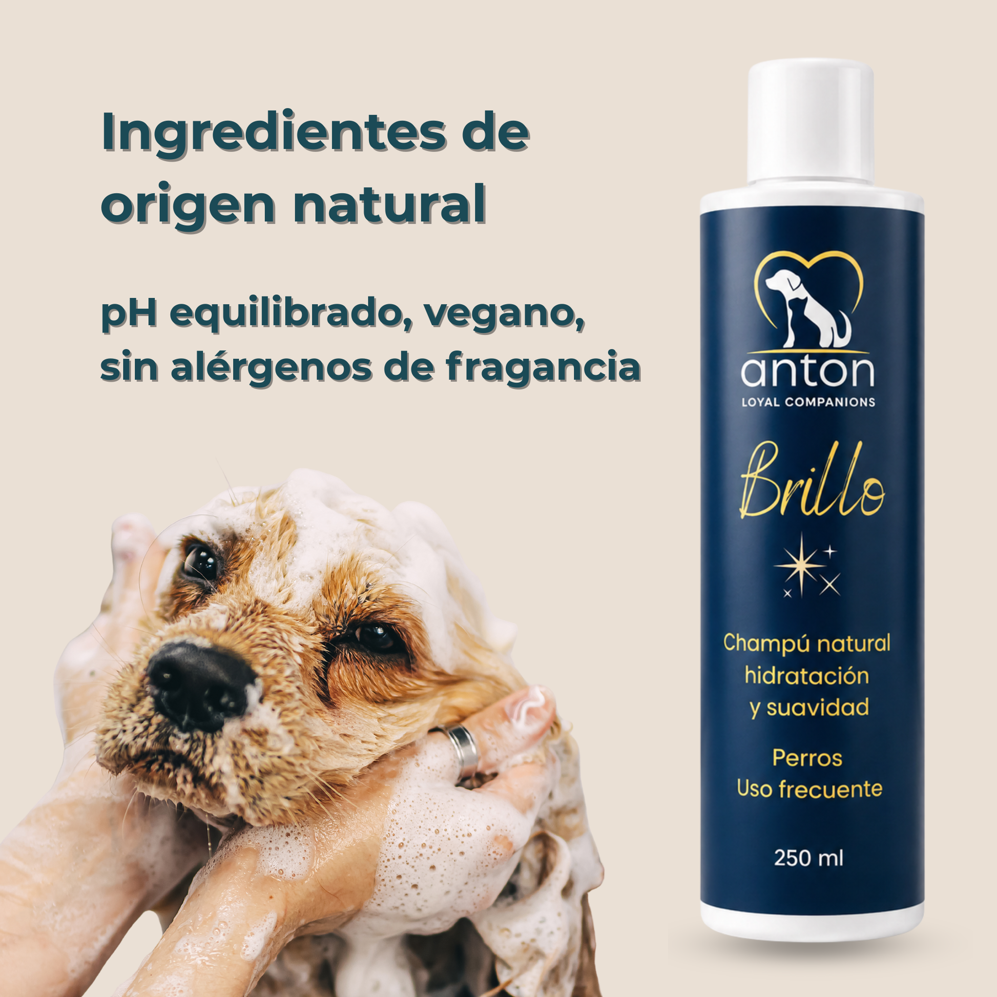 Champú natural para el cuidado del pelaje de perros – Pack 3 x 250 ml_4