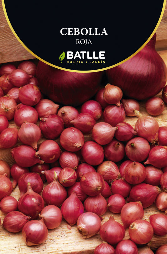 Bulbillo cebolla roja 200g