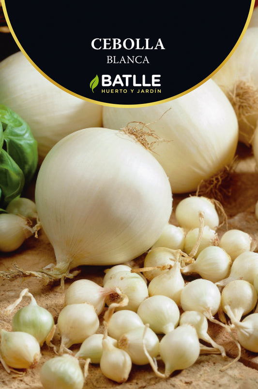 Bulbillo cebolla blanca 200g
