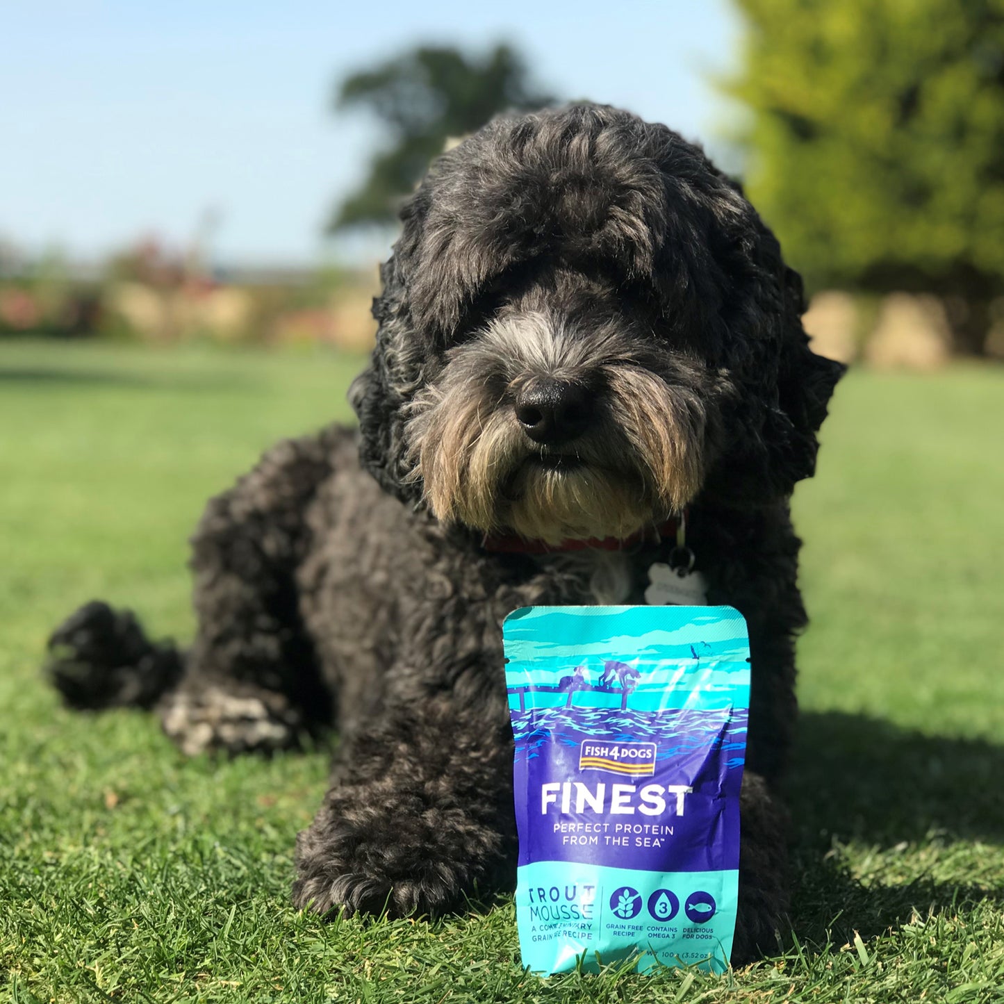 Fish4dogs Mousse Para Perro Sin Cereales – Trucha 100 G (pack De 6)_1