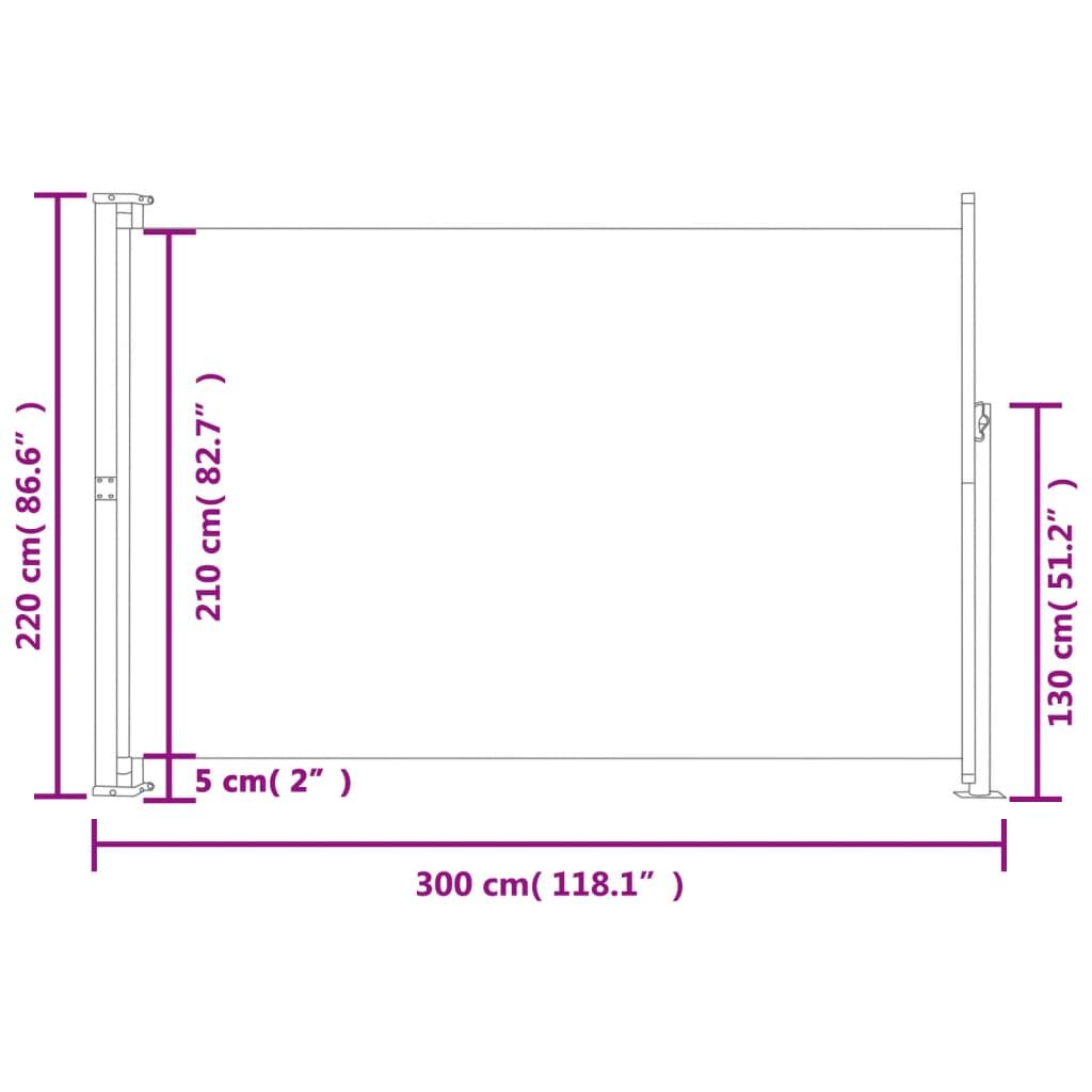 Vidaxl Toldo Lateral Retráctil Para Patio Azul 220x300 Cm_2