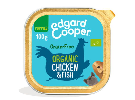 Tarrina de comida para perros con pollo ecológico y pescado sin cereales | Edgard & Cooper 100 g