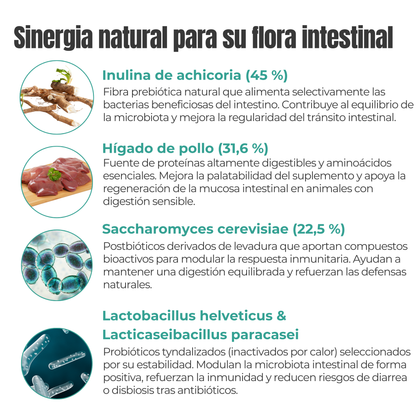 Suplemento natural para perros y gatos – Equilibrio Flora Intestinal Probióticos, Prebióticos y Postbióticos 100 g