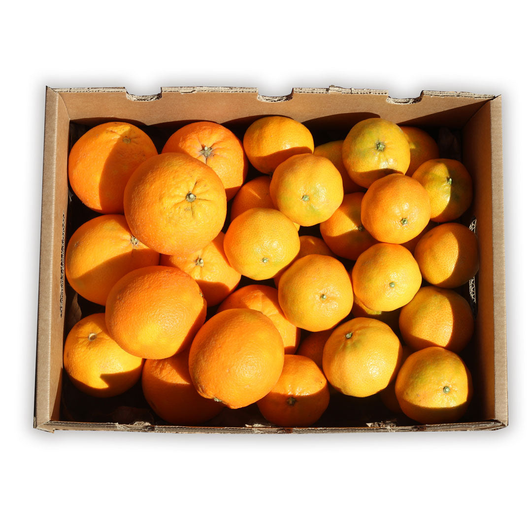 Mix Naranjas Y Mandarinas Valencianas Tropitop 4kg_0