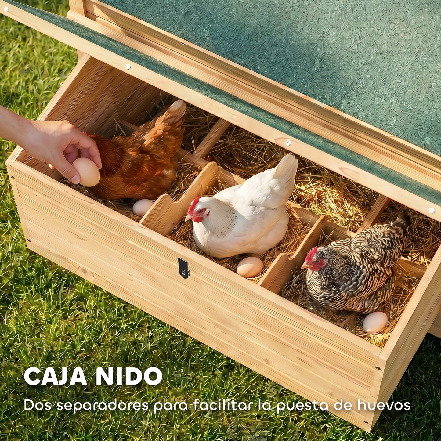 Pawhut Gallinero De Madera Para Exterior Con 2 Nidos 150x100x96,5 Cm Amarillo_5