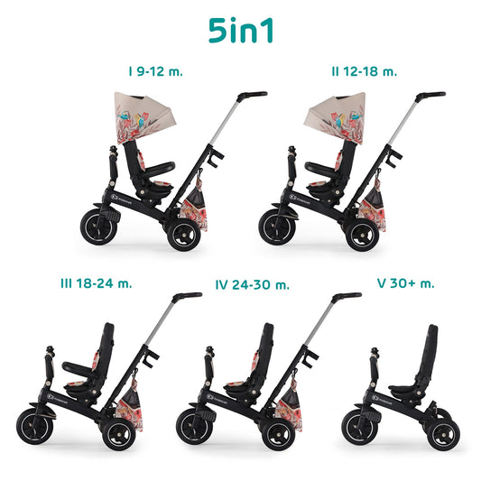 Triciclo Infantil Bidireccional Easytwist Bird_0