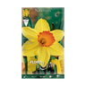 Bulbos Narciso Trompeta amarillo naranja 5 uds